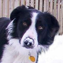 Blake was adopted in January, 2003